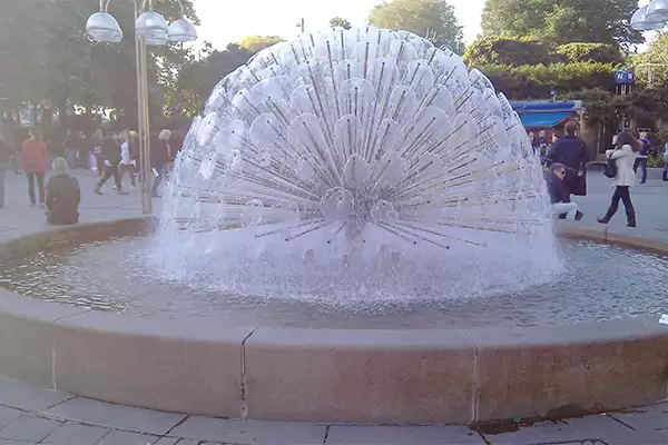 Semi-Spherical Dandelion2