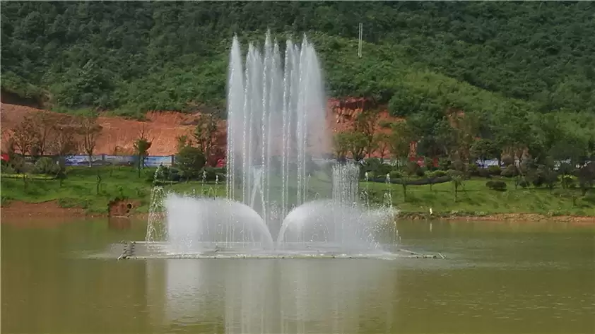 Swan Lake Large Floating Fountain water Dancing Fountain, China1