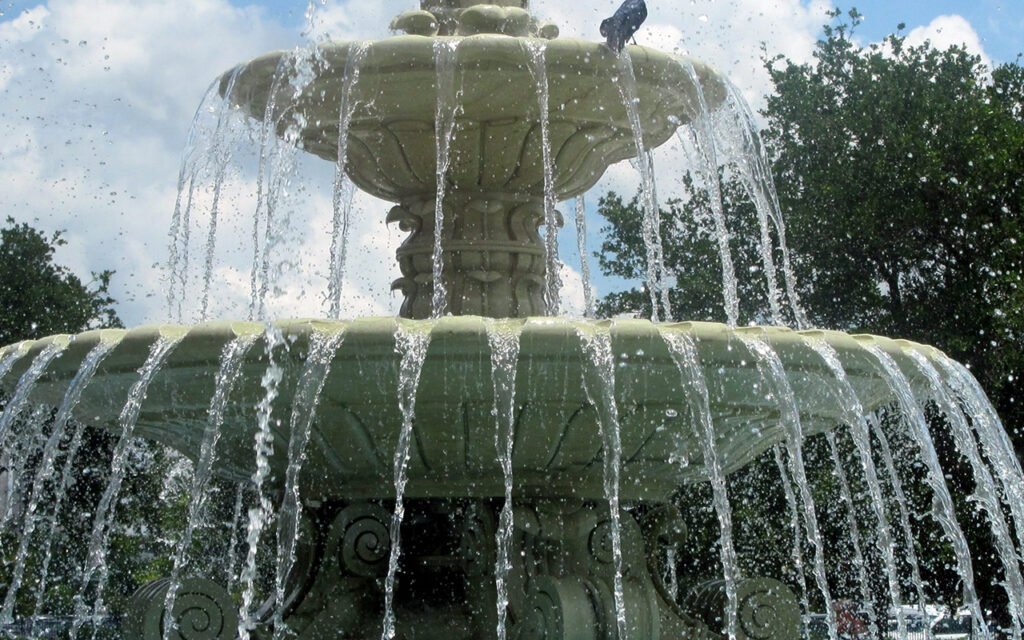 الأسئلة الشائعة 5 6 24